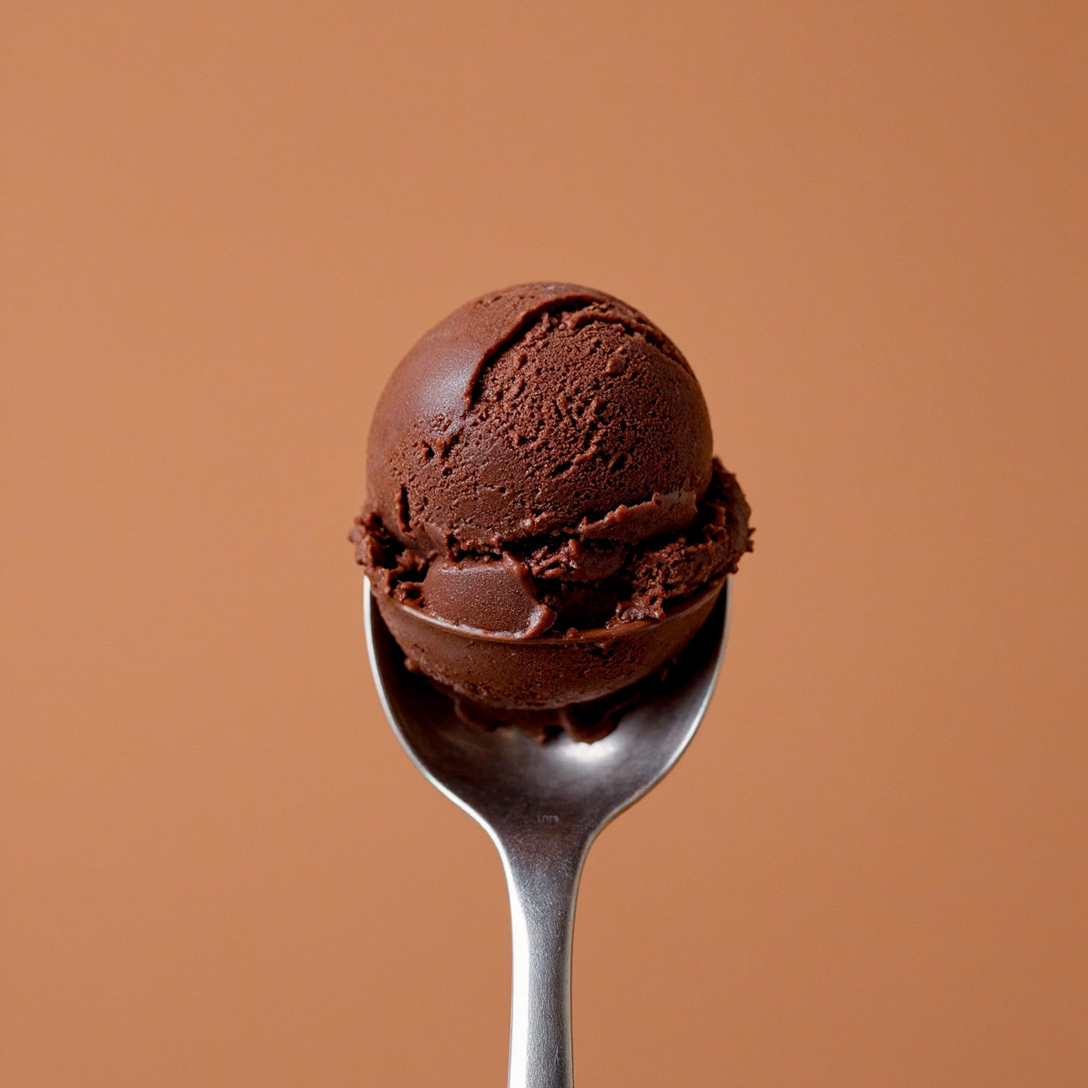 glace artisanale Savoie Chocolat noir